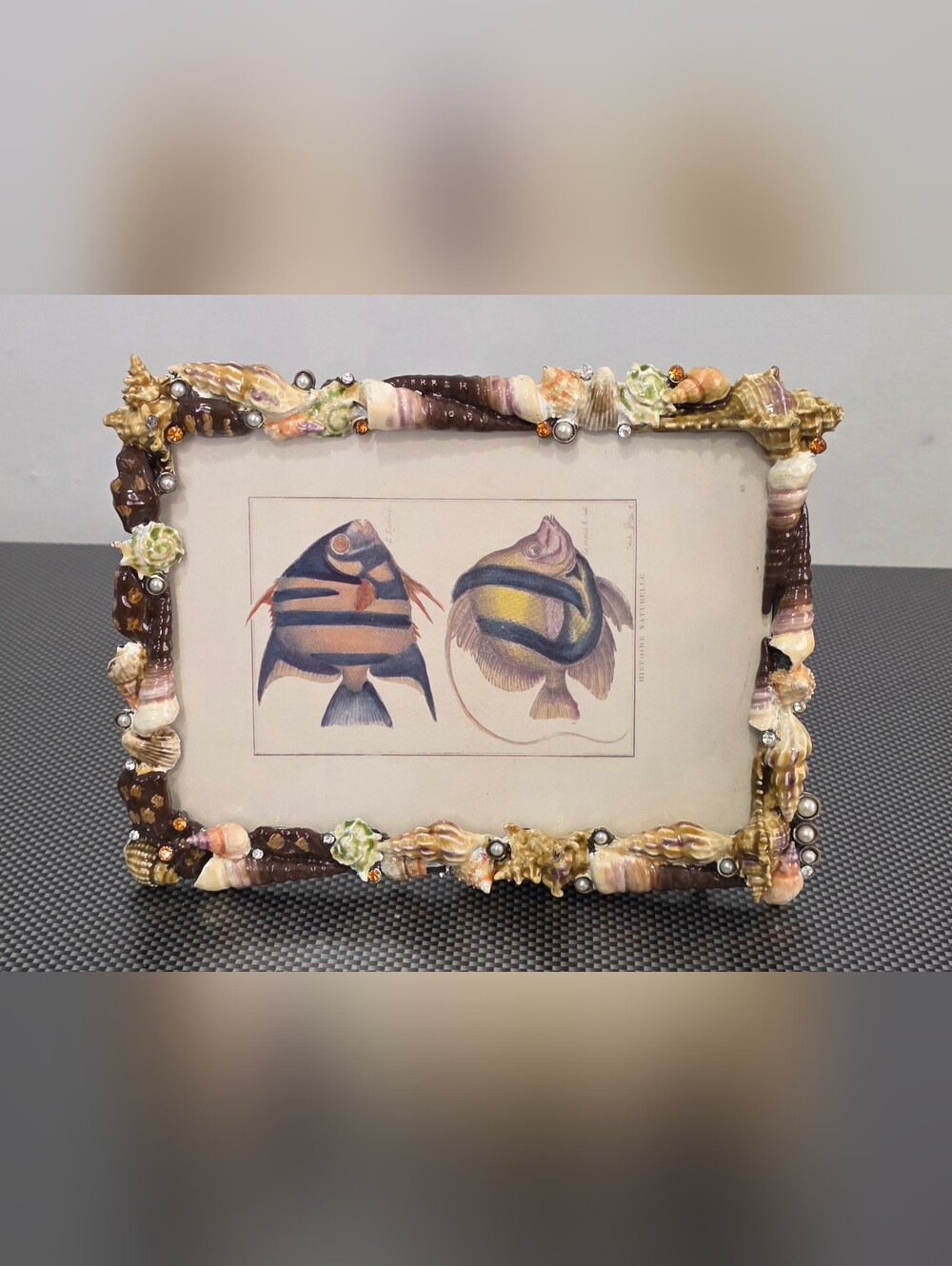 Two's Company Seashell Fish Wall Art Frame in Brown and Cream